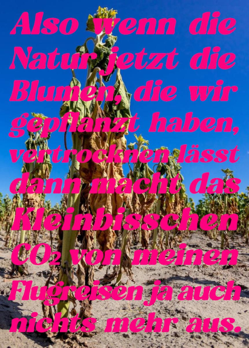 "Es ist sehr angenehm, mich schlau zu fühlen"