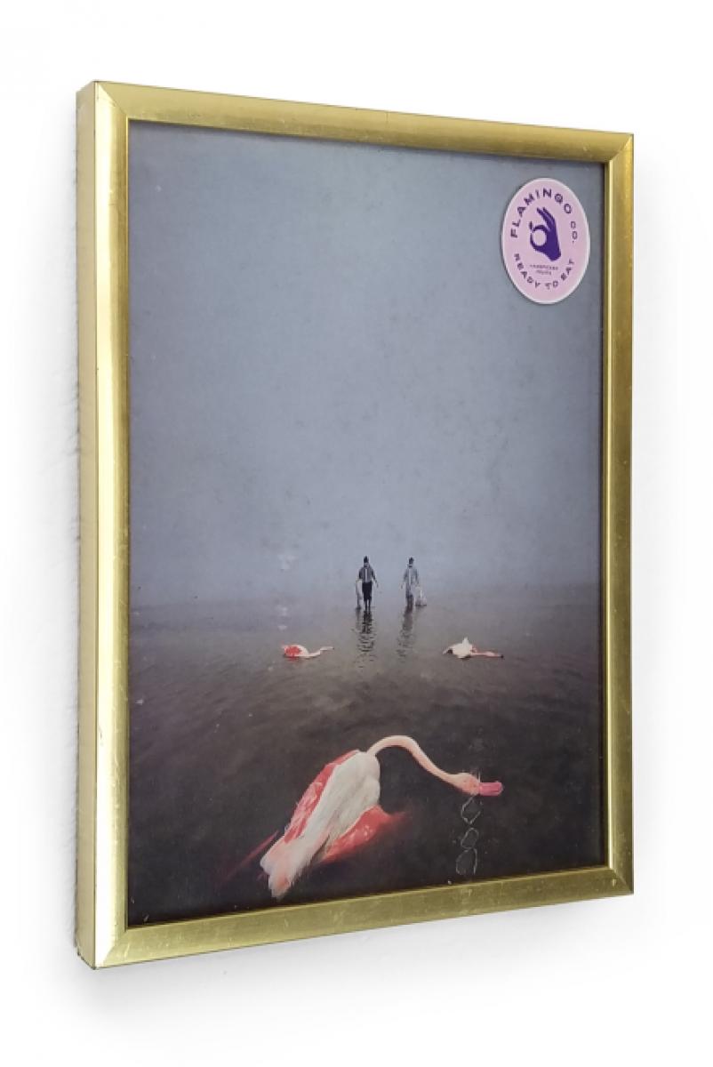 "Flamingo – ready to eat"