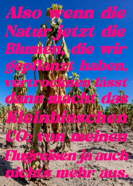 "Es ist sehr angenehm, mich schlau zu fühlen"